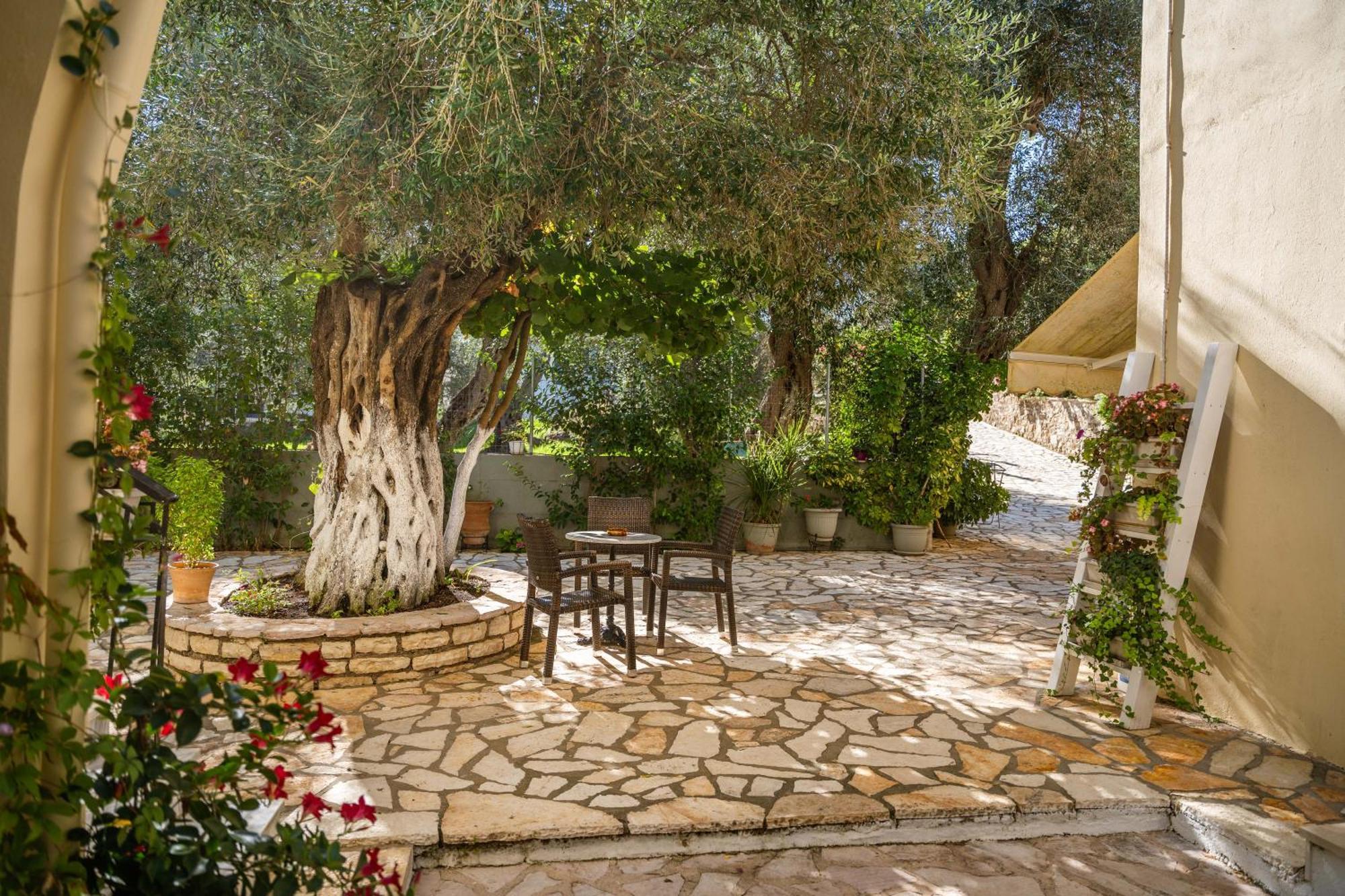 Angela Studios Σύβοτα Εξωτερικό φωτογραφία